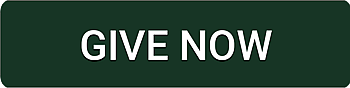 Give Now