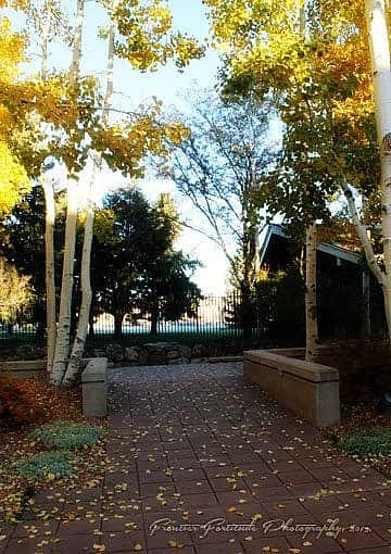 Fall in the Braun Garden