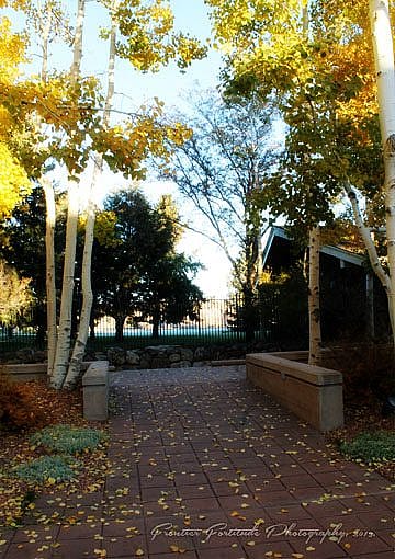 Fall in the Braun Garden
