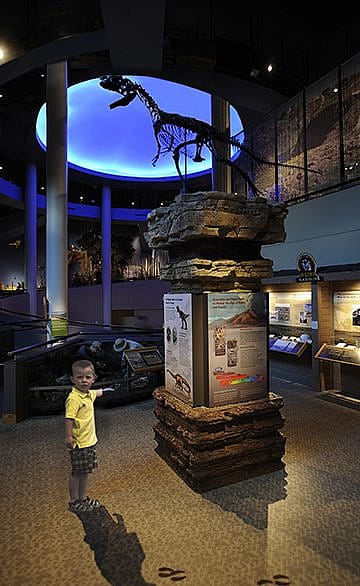 Mitchel in the Draper Natural History Museum