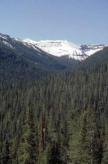 Springtime in the Rockies typically means plenty of snow remaining in the high country. Photo by C.R. Preston.
