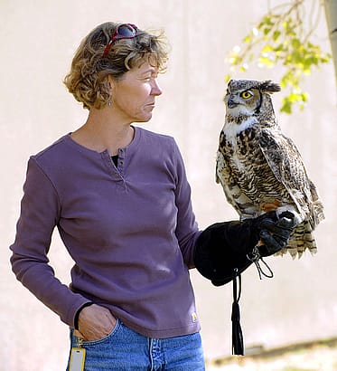 Draper Museum Raptor Experience Volunteer Rosemarie Hughes and Teasdale, the great horned owl.