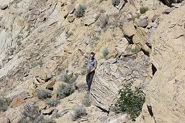 Intern Pat Rodgers collecting prey remains from under one nest.