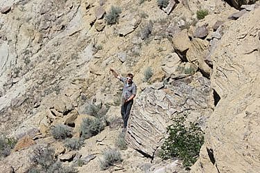 Intern Pat Rodgers collecting prey remains from under one nest.