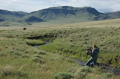 Photograph by James Prosek.