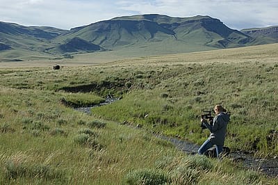 Photograph by James Prosek.