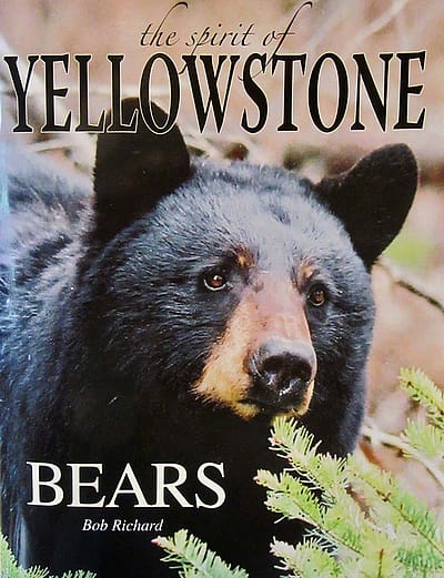 Book cover: black bear, text: The Spirit of Yellowstone Bears, Bob Richard.