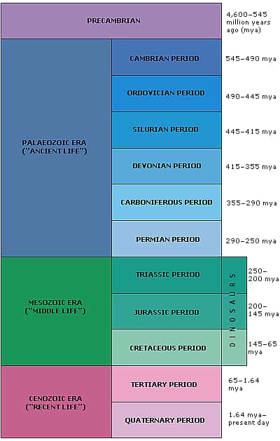 Geologic Time Scale