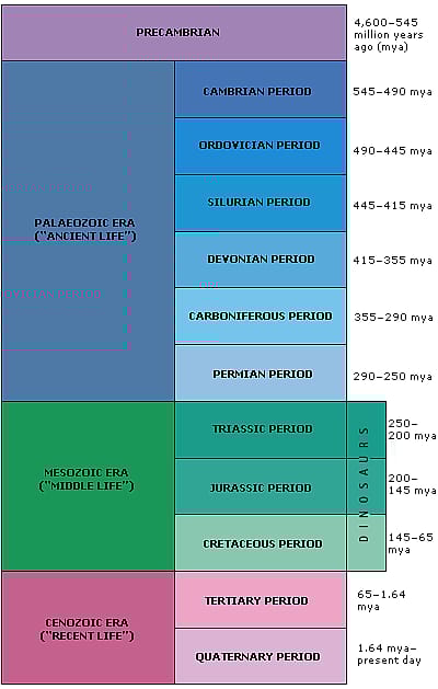 Geologic Time Scale