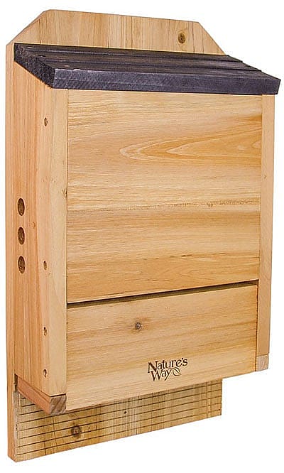 Bat box