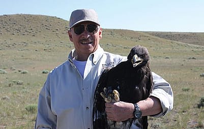 Dr. Charles R. Preston bands golden eagles for field research.