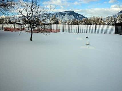 Yard full of snow, burying the birds' perches.