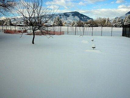 Yard full of snow, burying the birds' perches.