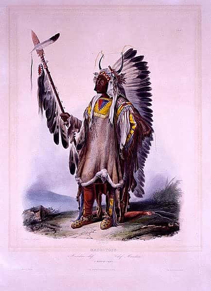 Karl Bodmer's "Mato-Tope, A Mandan Chief." 21.69.76