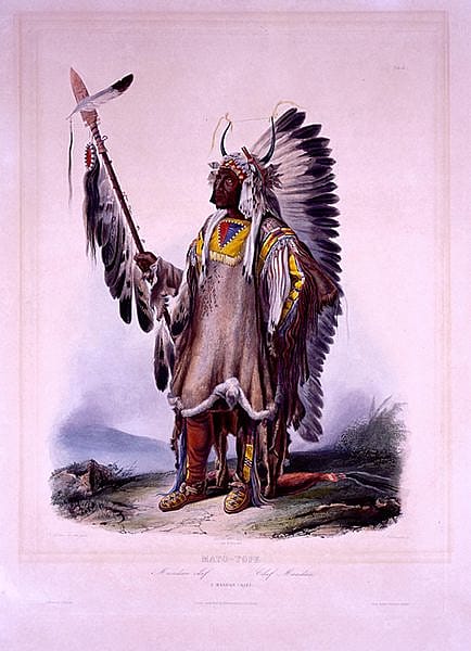 Karl Bodmer's "Mato-Tope, A Mandan Chief." 21.69.76