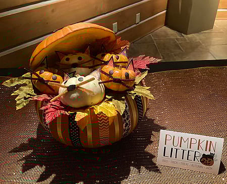 "Pumpkin Litter" jack-o-lantern: small pumpkins decorated as kittens in a larger pumpkin 