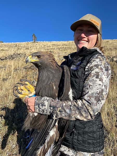 Hannah Leonard, Program Director for Sporting Lead-Free, holds a golden eagle. Hannah Leonard photo.