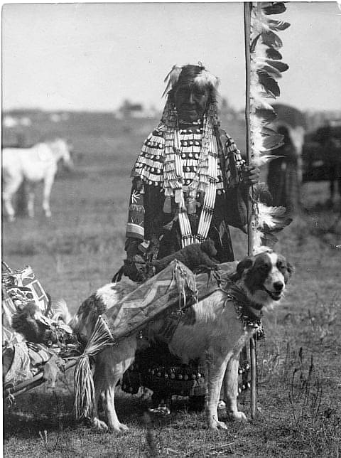 Native woman with dog equipped with travois. MS 35 North American Indian Photograph Collection, McCracken Research Library. P.35.191
