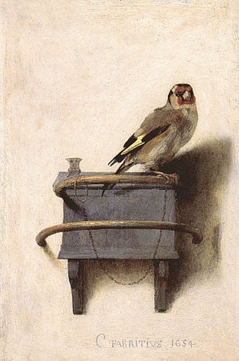 "The Goldfinch," Carel Fabritius 1654 This painting is not in our collection!