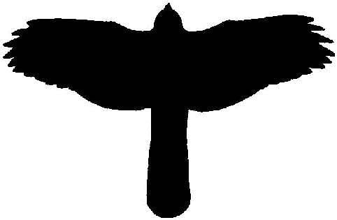 Accipiter silhouette