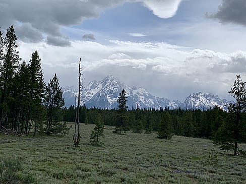 Grand Teton National Forest