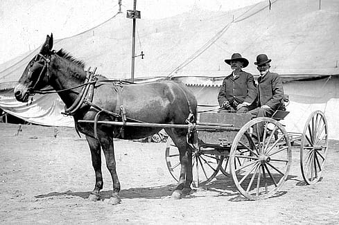 William F. "Buffalo Bill" Cody and Nate Salsbury, ca. 1900. MS 6 William F. Cody Collection, McCracken Research Library. P.69.1024