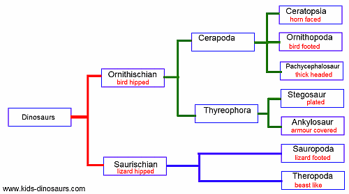 Seven Major Dinosaur Groupings