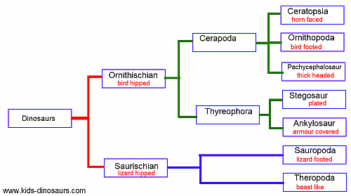 Seven Major Dinosaur Groupings