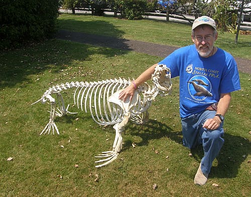 Lee Post with an articulated sea lion in 2015.