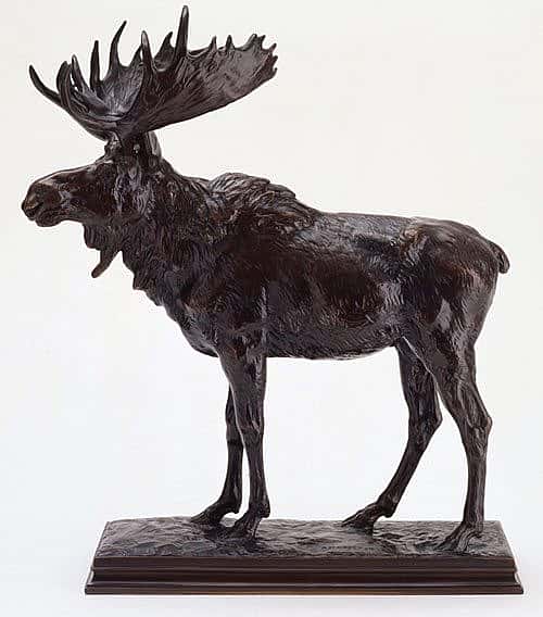 A. Phimister Proctor. "Moose," ca. 1907. Bronze. Markings: "A.P. Proctor" and "RT.-07" on base. Museum purchase. 53.61