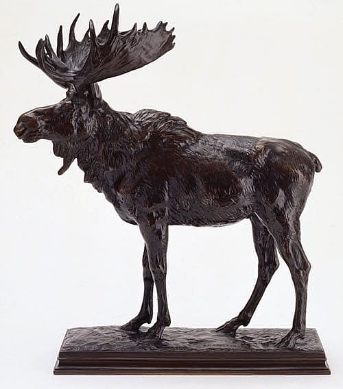 A. Phimister Proctor. "Moose," ca. 1907. Bronze. Markings: "A.P. Proctor" and "RT.-07" on base. Museum purchase. 53.61