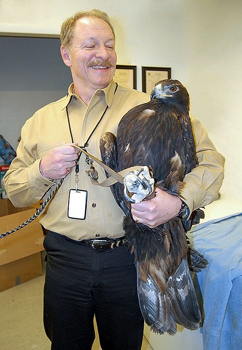 Dr. Charles R. Preston with the Center's golden eagle, Kateri.
