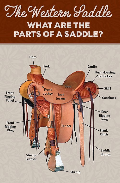Diagram showing the parts of a western saddle, including the horn, seat, cantle, fender, stirrup, and skirt.