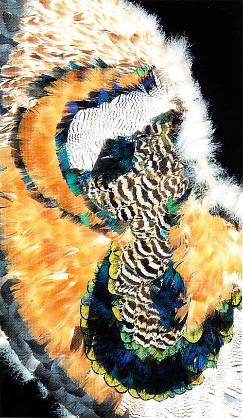 Feathered cape