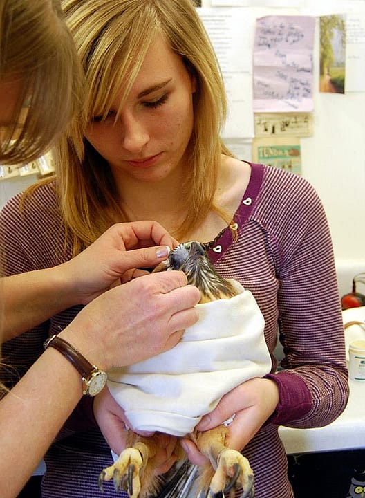 Jessica restraing Isham during "spa day."
