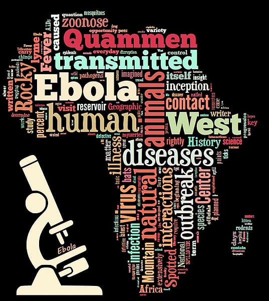 Ebola/Africa word cloud