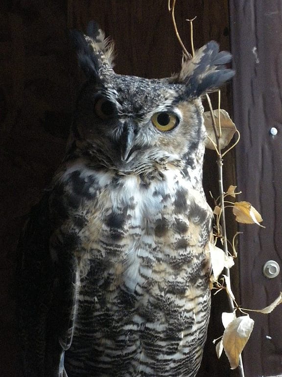 Teasdale letting me know I'm not welcome in his home.