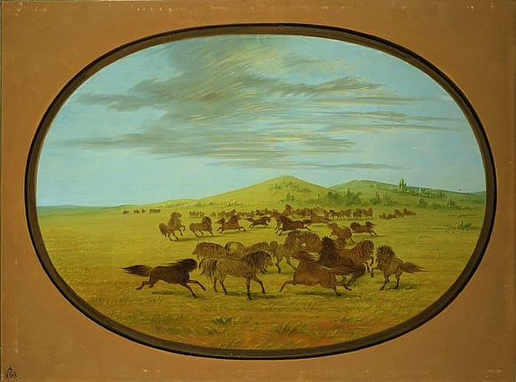 George Catlin's "Wild Horses at Play in the Prairies of the Platte." 30.86