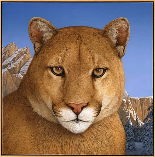 Tom Palmore (b.1945). Where Elegance Meets Fear, 1996. Acrylic on canvas, 46 x 46 inches. Gift of Edward R. Bazinet Foundation. 22.96