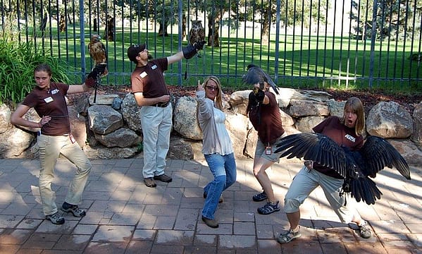 The 2012 Summer Crew having way too much fun.