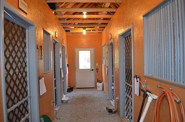 The hallway in the mews, the home of our birds.