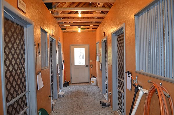 The hallway in the mews, the home of our birds.