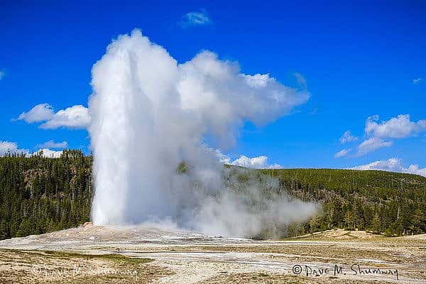 Dave M. Shumway photo, Old Faithful erupts on a sunny afternoon in Yellowstone National Park.