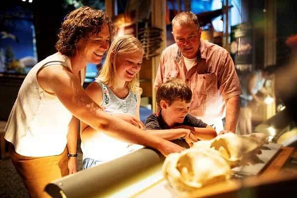 Family looking at museum exhibits including a wolf skull
