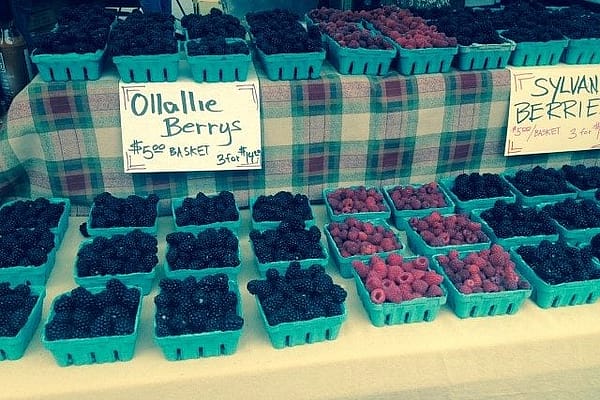 Glastone Farms Berries
