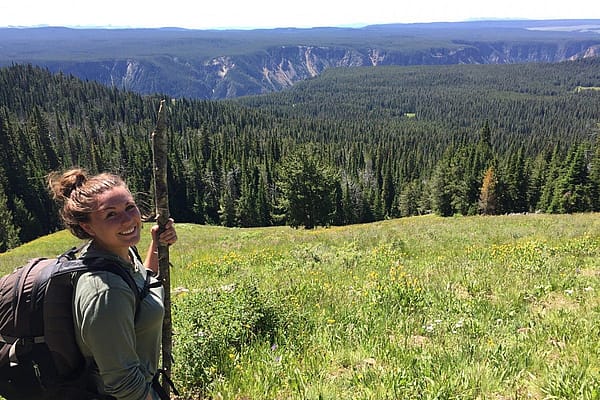 Hiker with a backpack and walking stick trekking up Mt. Washburn, surrounded by lush greenery and wildflowers, overlooking the Grand Canyon of Yellowstone.