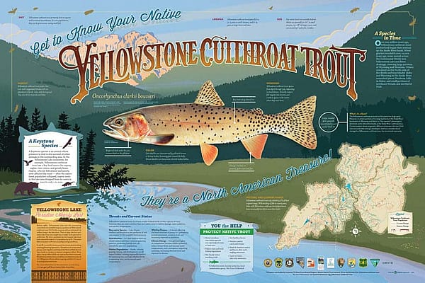The first 100 attendees at the April 6 Lunchtime Expedition will receive a Yellowstone Cutthroat Trout poster.