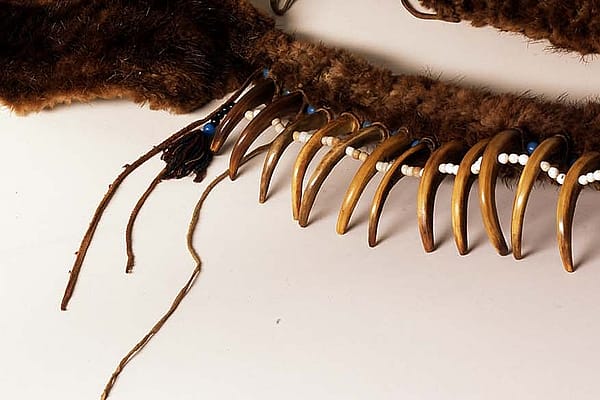 Grizzly bear claw necklace. Paul Dyck Plains Indian Buffalo Culture Collection. Acquired through the generosity of the Dyck family and additional gifts of the Nielson Family and the Estate of Margaret S. Coe. NA.203.1413