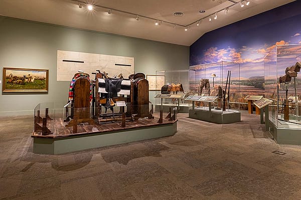 Exhibit of saddles in the Buffalo Bill Museum.