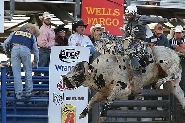 Cody Night Rodeo Action